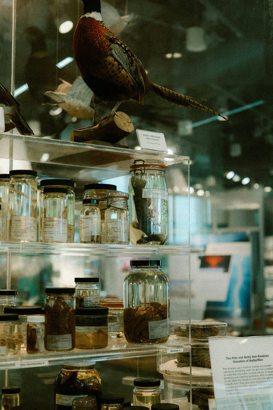 Why ECOCERT Certified Skincare Sets a Higher Standard.